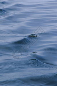 海水飞溅海浪飞溅海景近海水面图片