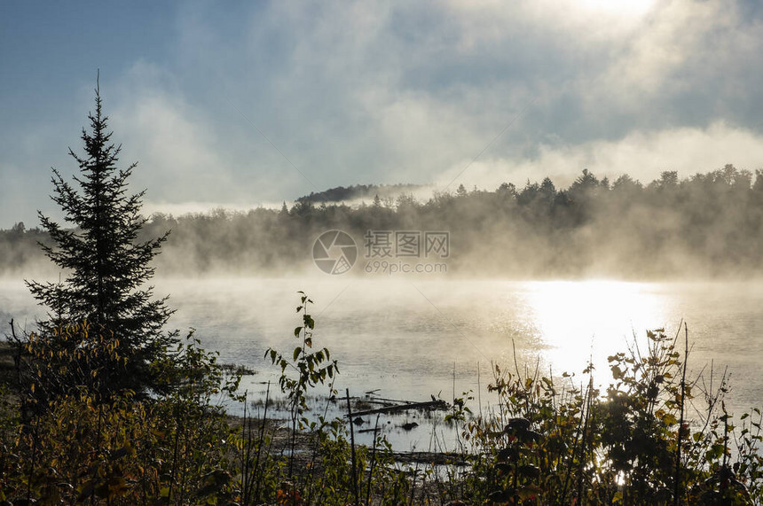 阿冈昆公园湖上的清晨薄雾图片