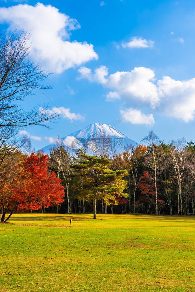 日本秋季天湖周围有青木叶树的美图片