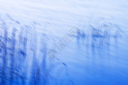 五颜六色的水自然背景抽象的水自然背景水中图片
