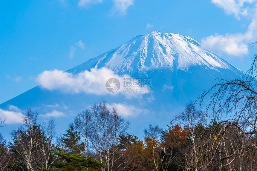 日本秋季天湖周围有青木叶树的美图片