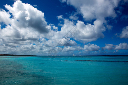 美丽的海藻和蓝色的天空阳光般的海图片
