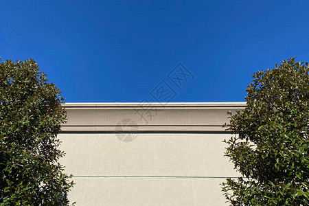 建筑侧面与水平屋顶线两灌木和蓝天图片