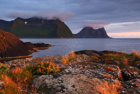 挪威塞尼亚岛上的白夜图片