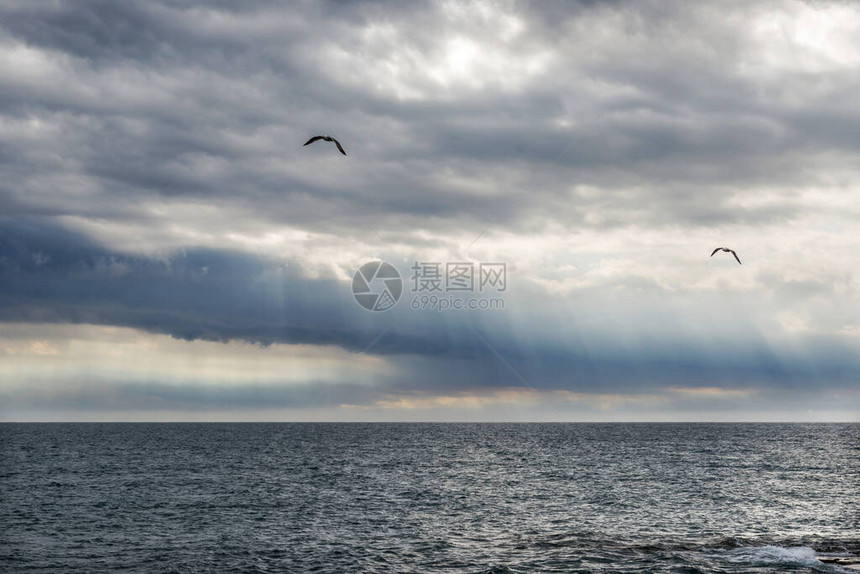 雷雨过后的早晨海鸥在海面上空图片