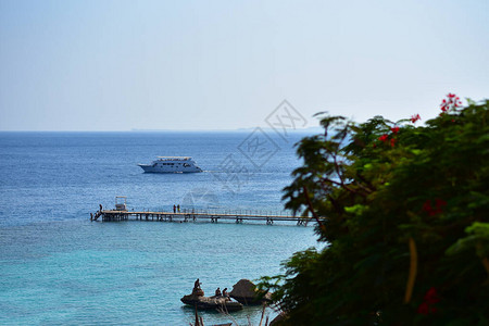 游艇在红海酒店的岸边航行图片