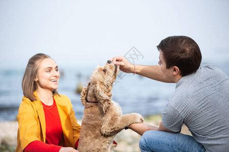 在海边玩狗的年轻夫妇狗在户外散步图片