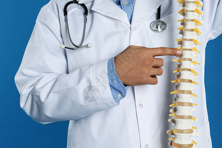 在蓝色背景下使用人类脊椎模型的男矫形图片