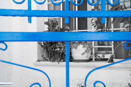 蓝色锻铁门靠在单色窗户和墙壁上特写图片
