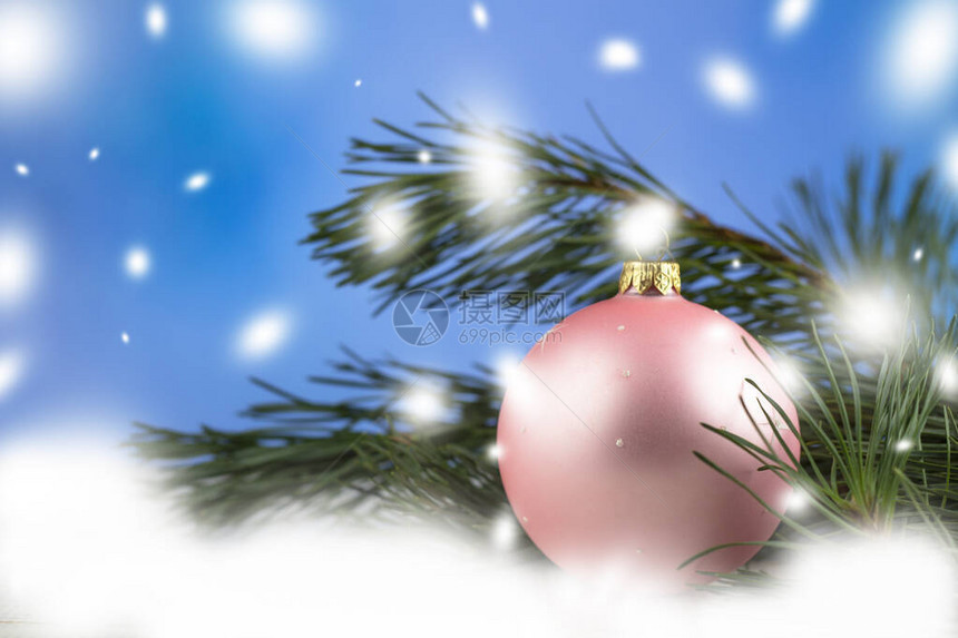 圣诞节背景圣诞节和新年假期冷杉树枝和粉红色的球图片