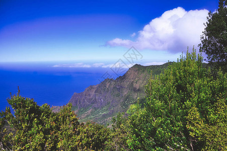 夏威夷Kauai的太平洋沿图片