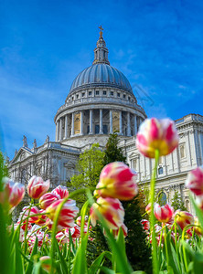圣保罗大教堂在英国格兰的伦敦市中心图片