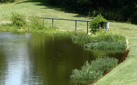 园景花园中池塘的清新水图片