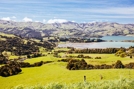 在新西兰坎特伯雷地区山顶路透点的Akaroa上望着美丽的班图片