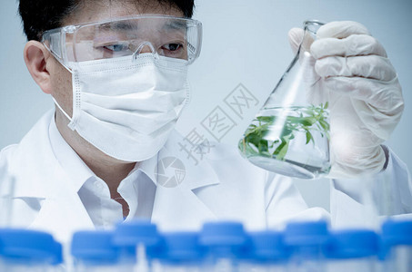 亚洲男研究员在实验室图片