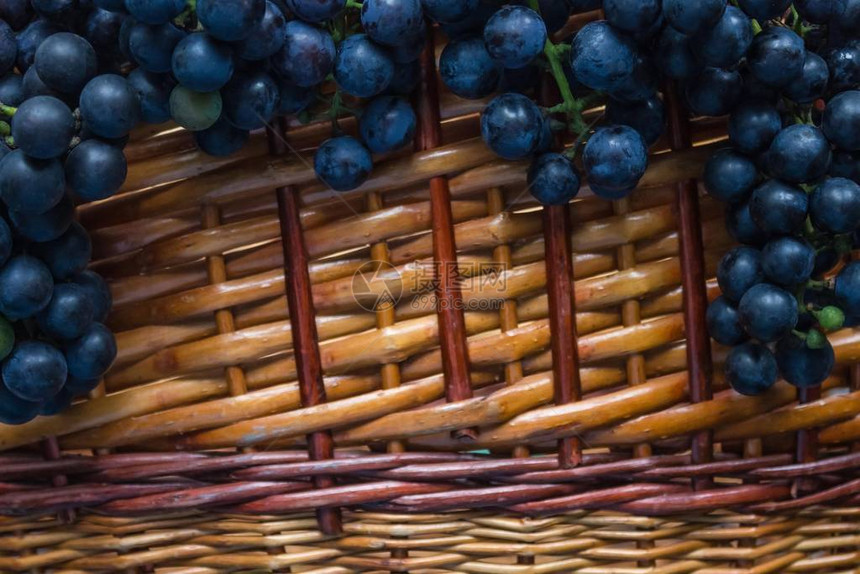 水果篮上的深蓝色葡萄图片