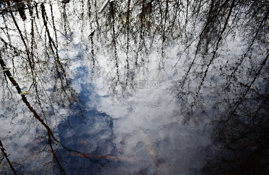 树木的剪影和白云的天空倒映在水中图片