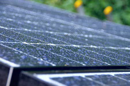 雨水中光伏太阳能电池板细胞图片