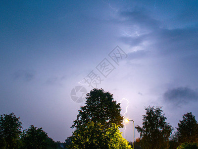 闪电孤树灯杆的夜景图片