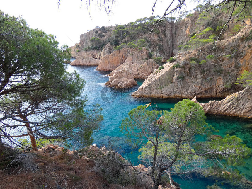 布拉瓦海岸图片