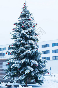 美丽的圣诞树装饰着圆形玩具在德国慕尼黑图片