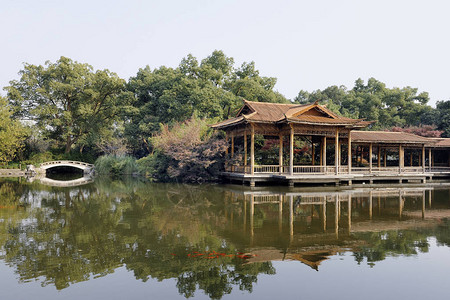 浙江省杭州市西湖文化景观中的牡丹园这个公园背景图片