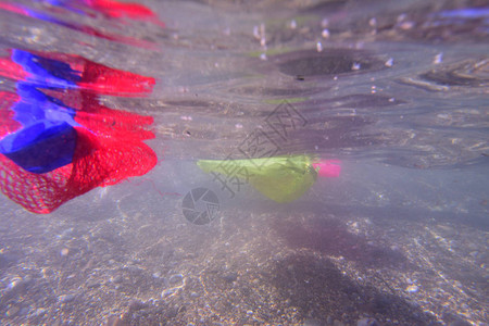 漂浮在海滩的塑料瓶图片