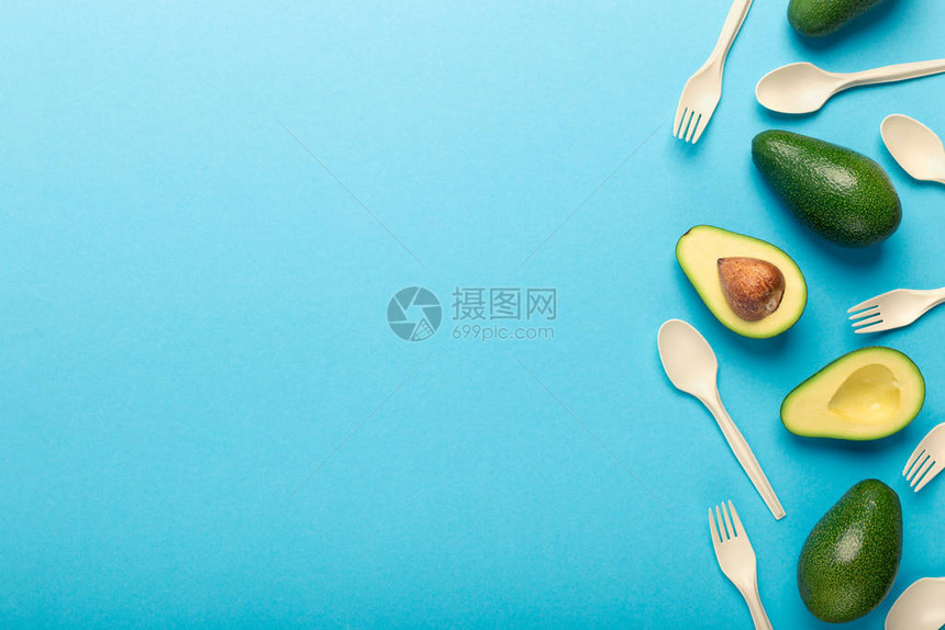 Avocado种子图片