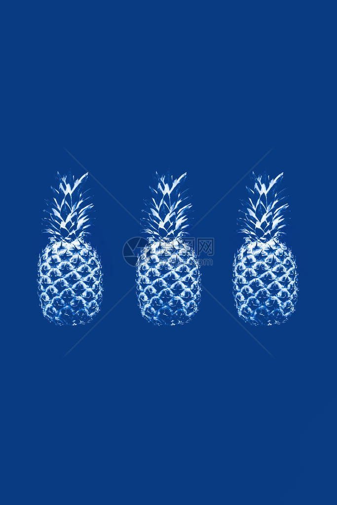 蓝色背景的单色三颗菠萝概念抽象超现实主义2020年的图片