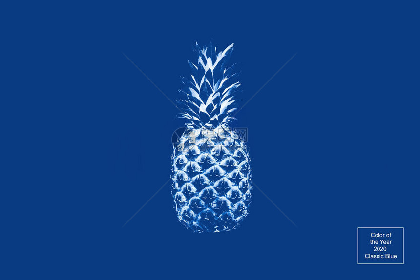 蓝色背景的单色薄荷菠萝概念抽象超现实主义2020年图片