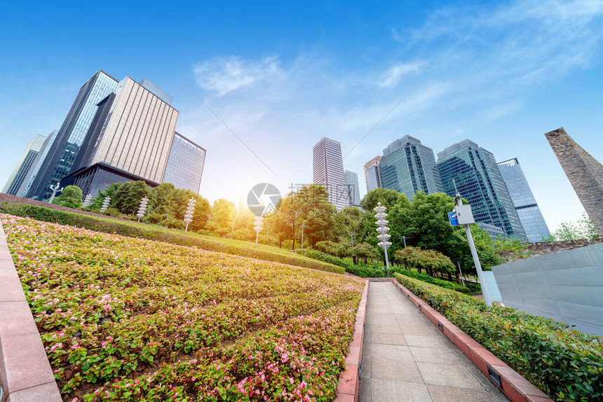 植物前景和现代高楼重庆金融区单图片