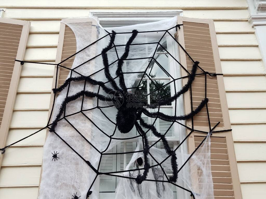 房子有窗户黑蜘蛛和网图片
