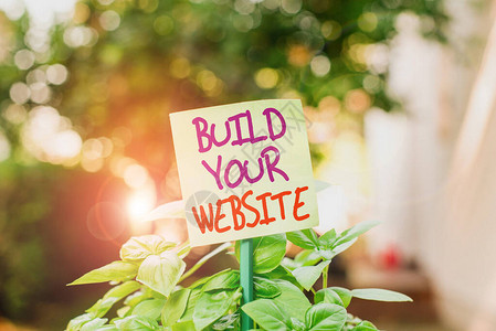 手写文字写作建立您的网站概念照片建立电子商务系统以推销业务附在棍子上并放置在绿叶植物背景
