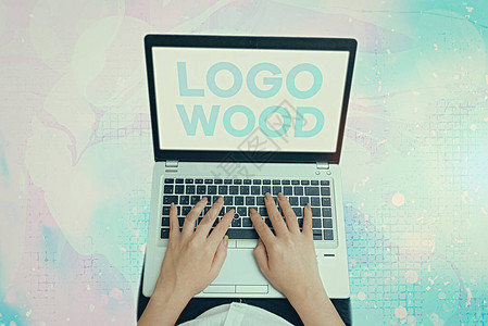 显示LogoWood的文字符号展示刻在木头上的公司的可识别设计或标图片