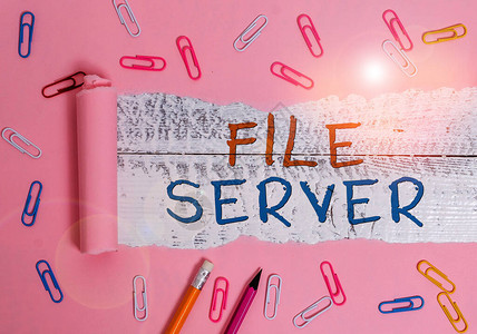 FileServer显示文件服务器的书写注释控制单独存储数据访问的设图片