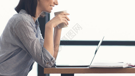 上午咖啡剪裁的幸福学生拿着白咖啡杯观看笔记本电脑录像图片