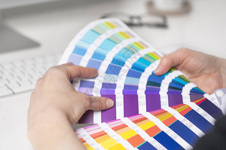 图形设计师从调色板指南中选择颜色图片