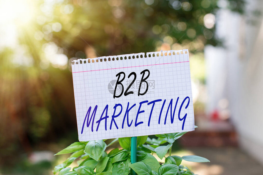 显示B2B营销的文本符号商业照片展示等距商业技术成功的商业合作普通空纸贴在棍子上图片