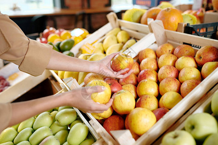 年轻女手从超市木箱中摘取两个成熟的黄苹果图片