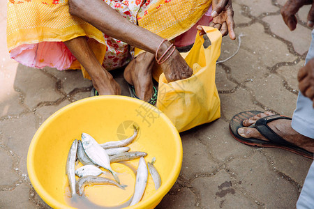 印度女人卖鱼给男人图片