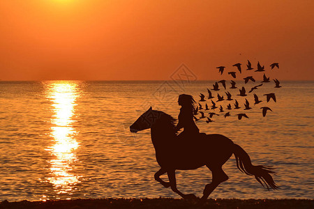 日出时骑着马骑着鸟儿从头发上飞来的白图片