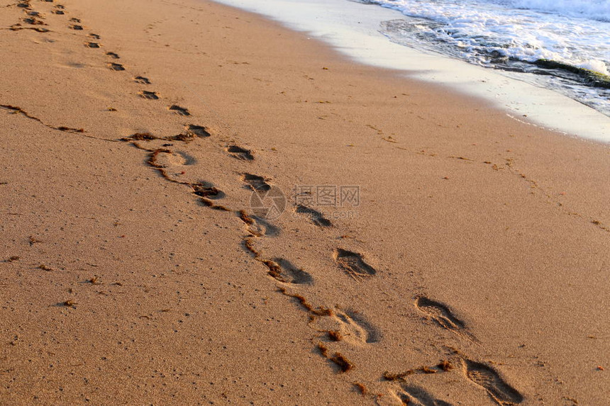以色列北部地中海沿岸沙滩上的脚印图片