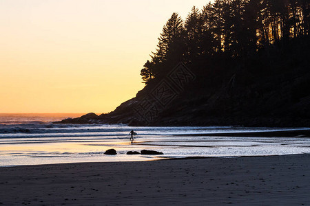 人走出俄勒冈海岸寒冷的水域带着冲浪板走出来当太阳在地平线上图片