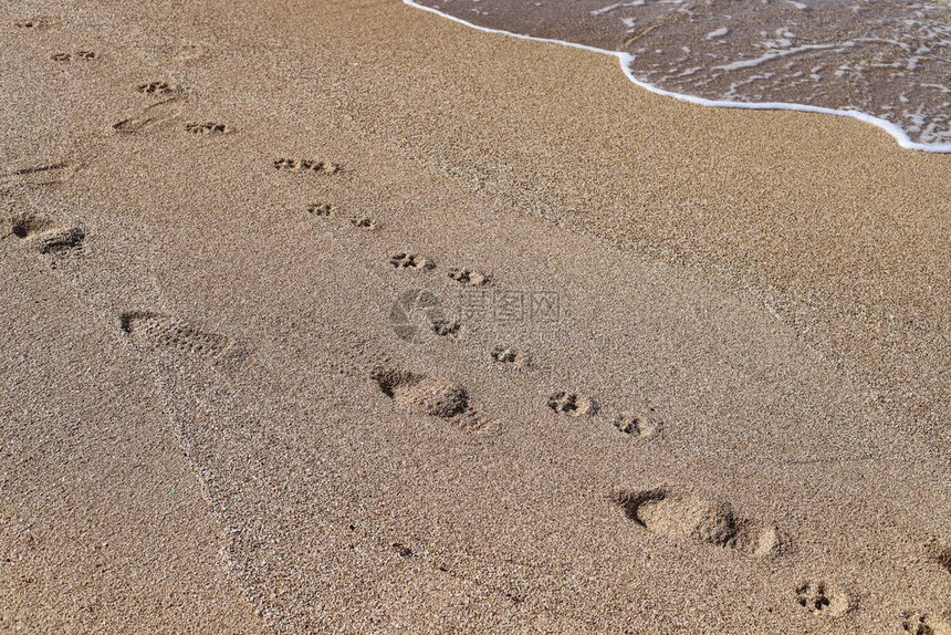 以色列北部地中海沿岸沙滩上的脚印图片