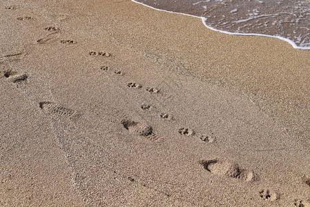 以色列北部地中海沿岸沙滩上的脚印背景图片