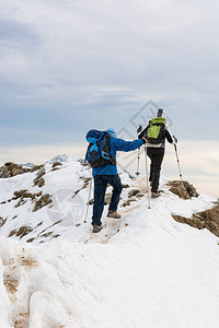 山羊群在雪上攀登山脊在冬天探索山峰图片