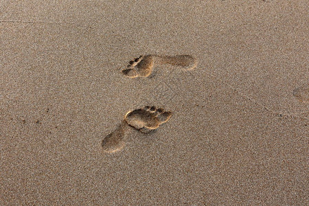 以色列北部地中海沿岸沙滩上的脚印背景图片