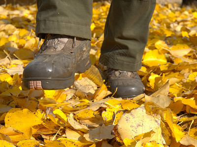 棕色靴子在黄叶落上支离破碎图片