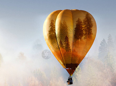 热空气球和雾森林自由与自然概念的图片