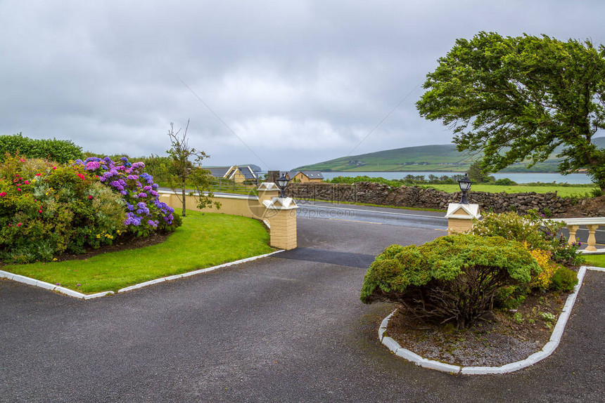 爱尔兰科克里州丁莱半岛的丁格图片